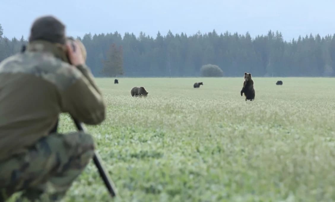 Medvedí raj na Liptove: Fotograf zachytil neuveriteľný výjav (VIDEO)