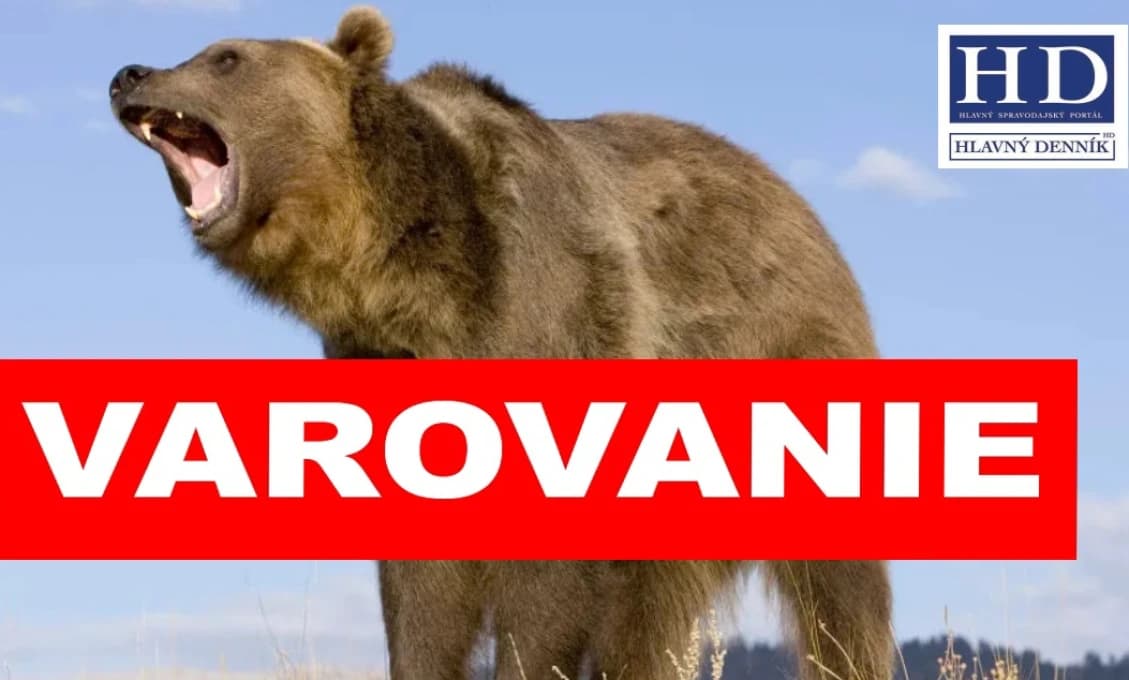 MEDVEĎ sa náhle vyrútil na dvojicu! TOTO spravili v poslednej chvíli