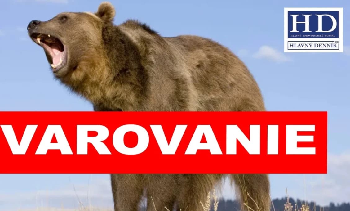 Medveďa natočili na video pri ihrisku, kúsok od obydlí! Buďte opatrní, varujú ľudí