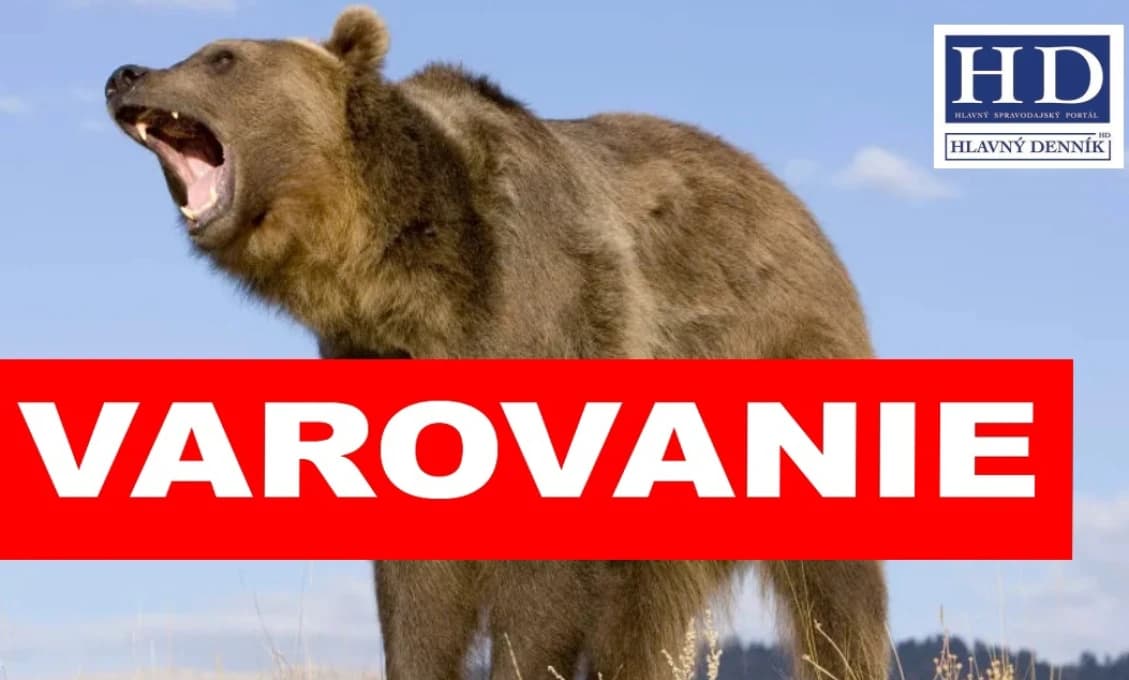 ŠOP varuje: NA URPÍNE SA POHYBUJE MINIMÁLNE ŠESŤ MEDVEĎOV! (VIDEO)