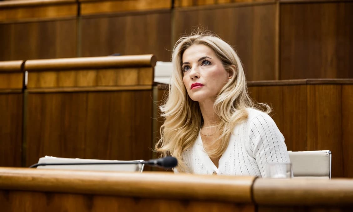 Šimkovičová o novele o dovoze predmetov kultúrnej hodnoty: Chránime kultúrne hodnoty Slovenska!