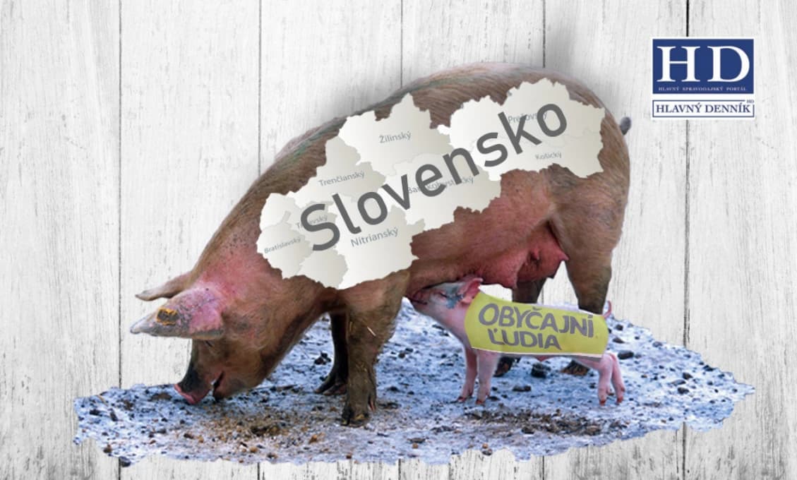 Smradľavá kauza svine dosahuje kvalitu nástenkového tendra