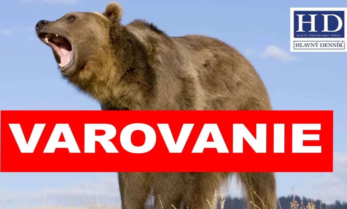 AKTUÁLNE VAROVANIE: TU zbadali medveďa priamo na ulici