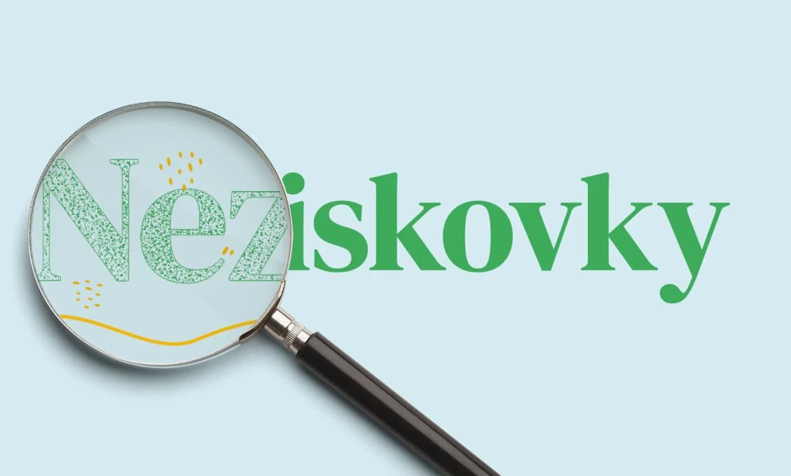 Halás a Kotian: "Miliardové toky do mimovládok si zaslúžia rovnakú kontrolu ako firmy"