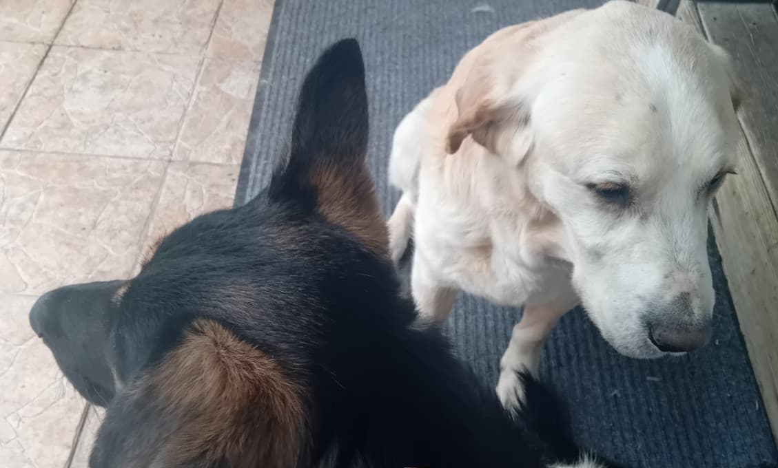 Vieme, kto čo neurobí, za čo nezahlasuje, ale nevieme, kto čo urobí