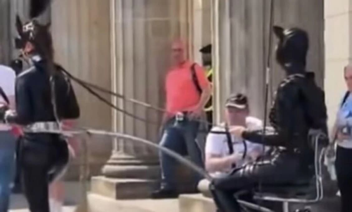 Šialené: V Nemecku sa objavila nová forma hobby horsingu, pri ktorej chýba už len – zdravý rozum (VIDEO)