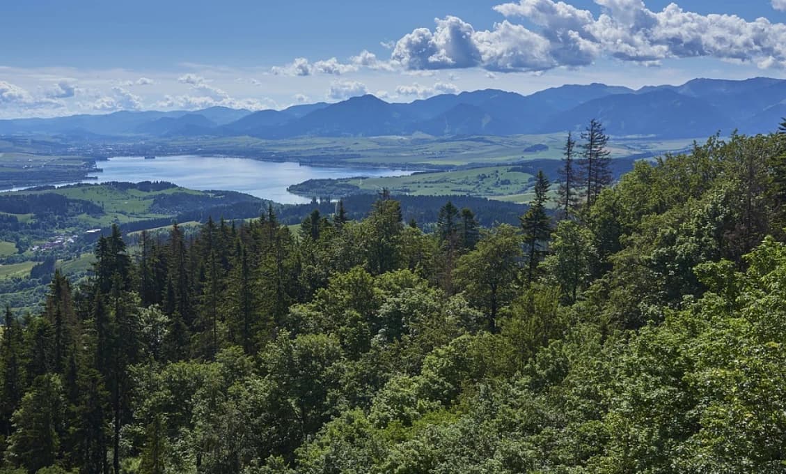 Utopenie bol len klam. Matka si smrť syna vymyslela, priznala sa k vražde