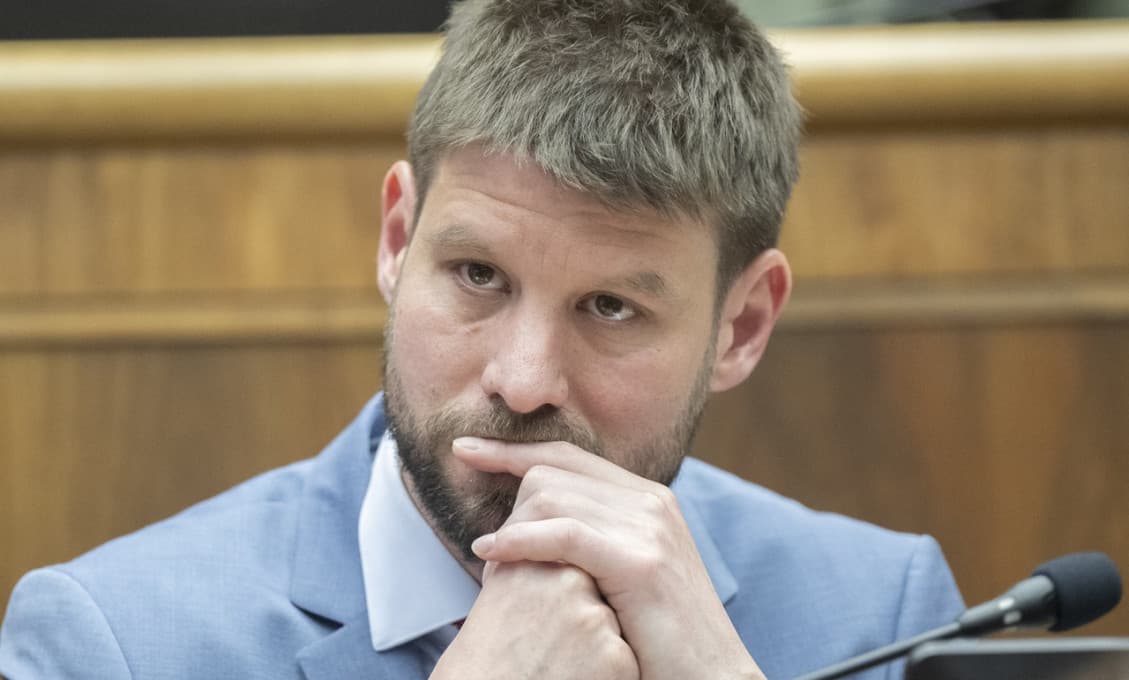 Šimečka sa našiel: Zaprel mamu, prečo nie spojencov?