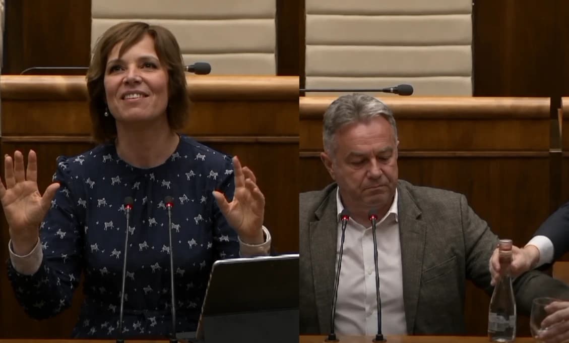 TAKTO to vyzerá v parlamente! Kto robí najväčší kabaret? (VIDEO)
